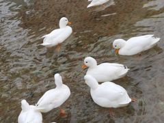 -珠海海泉湾神秘岛亲子乐园