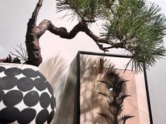 -自由生长植物工作室(深港花卉中心店)