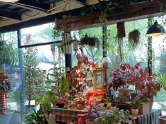 -自由生长植物工作室(深港花卉中心店)