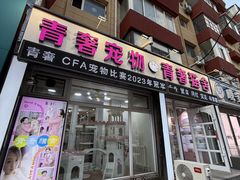 -青奢宠物·青奢猫舍