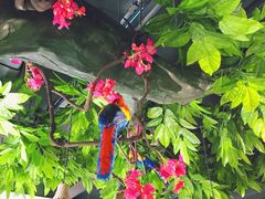 大堂-草原塞蛮羊火锅城(港湾店)