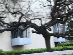 -安苑北里小区