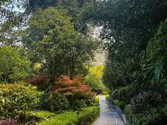 -腾冲洞山温泉村