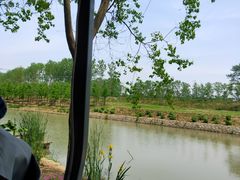 -合肥滨湖国家森林公园