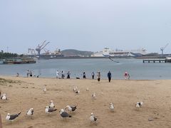 -海驴岛(荣成市)
