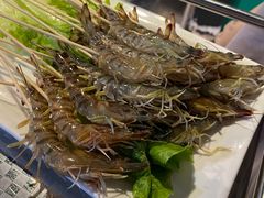 -金龙·打边炉(南京西路店)