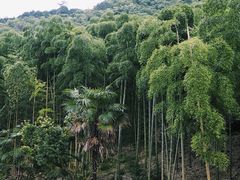 -将军关探险漂流