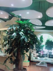 -艺米阳光Hair Salon