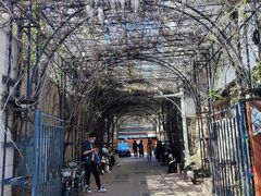 -天津五大道文化旅游区