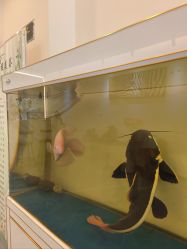 -FUMEIHUI·科技美肤·美体SPA