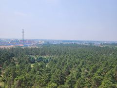 -北陵公园