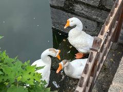 -苏州碑刻博物馆