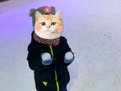 -宁波冰雪大世界(北仑区)