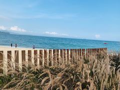 -大梅沙海滨公园