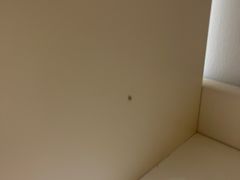-上海月星家居(澳门路店)