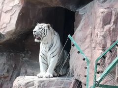 -鄂尔多斯野生动物园