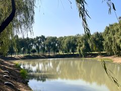 -滨湖塘西河公园