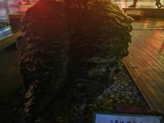 -西安曲江寒窑遗址公园