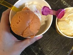 -莓园冰淇淋店