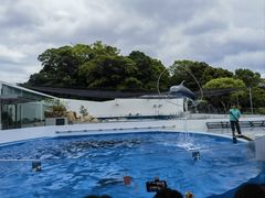 -西海国立公园九十九岛水族馆
