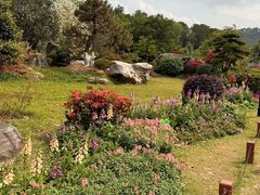 -东莞植物园