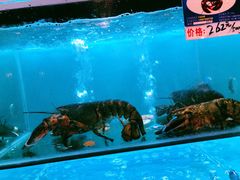 -南海渔家•海鲜•正宗海南菜(海棠湾店)