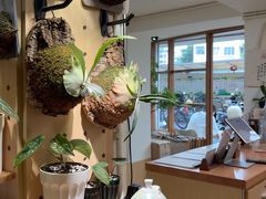 -本無咖啡·BeanWood Coffee