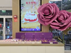 -GANSO元祖食品(西安含光路店)