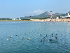 -海驴岛(荣成市)