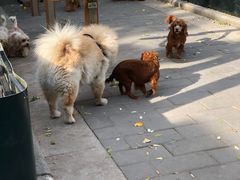 -后海公园