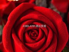 -紫荆城食品交易中心(华强北店)