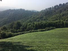 -敬亭山风景名胜区