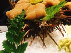 -渔寿司·日本料理(艾尚天地店)