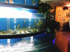 水产区-王家渡火锅店(棕榈泉店)