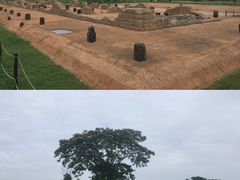 -盘龙城国家考古遗址公园