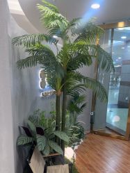 -八佰伴8008星级形象店