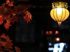 门面-莫太花餐厅(河北路店)