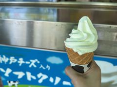 -神户市立六甲山牧场