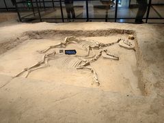 -洛阳周王城天子驾六博物馆