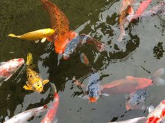 -广州花园酒店