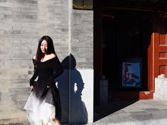 -北京国子监胡同