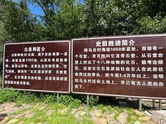 -白草畔自然风景区