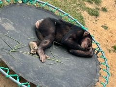 -西霞口神雕山野生动物世界