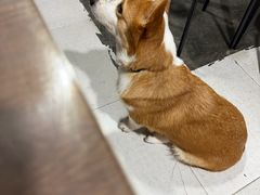 -小梁哥云吞面(黄贝岭店)
