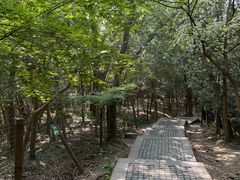 -头陀岭景区