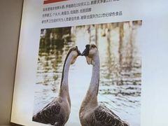 -陆记鹅庄·潮汕菜·狮头鹅(大仟里店)