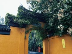 -西园戒幢律寺