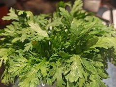 -百草滩羊清水涮羊肉·清真·宁夏盐池滩羊(莲花桥店)