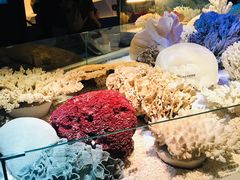 -贝林大翅鲸简餐厅(国家海洋博物馆店)