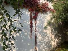 -北京鲁迅博物馆(北京新文化运动纪念馆鲁博馆区)